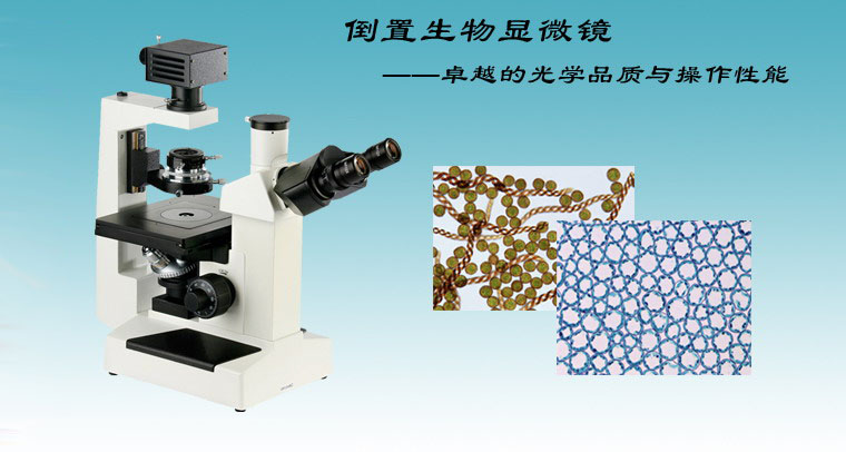 WMS-1081倒置生物显微镜