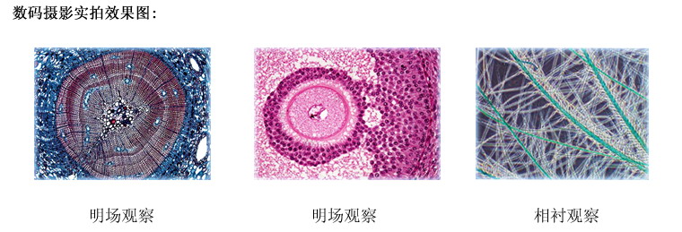 WMS-1081倒置生物显微镜