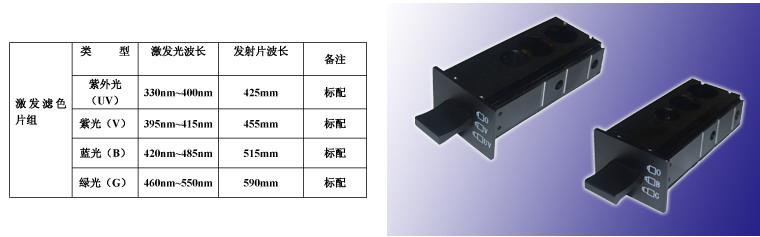 WMF-3650倒置熒光顯微鏡